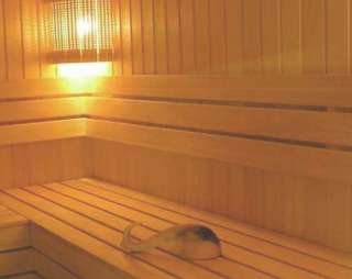 Сауна Барбекю-парк Мечтатели в Ижевске